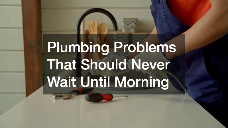 Plumbing Problems That Should Never Wait Until Morning